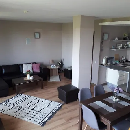 Apartment By Zenit In Terra Complex Massonet D28 Near Bansko